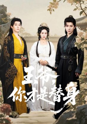 王爷,你才是替身