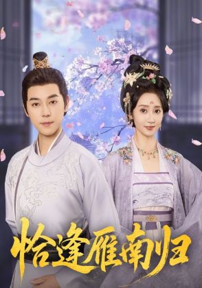 恰逢雁南归