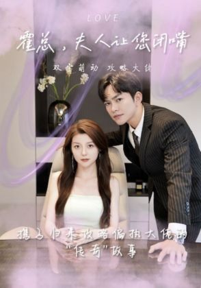 霍总,夫人让您闭嘴