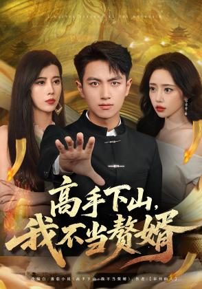 高手下山,我不当赘婿