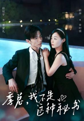 季总,我不是这种秘书