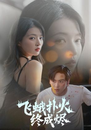 飞蛾扑火终成烬