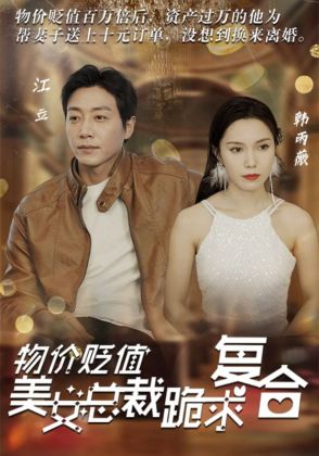 物价贬值，美女总裁跪求复合