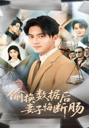 偷换数据后妻子悔断肠