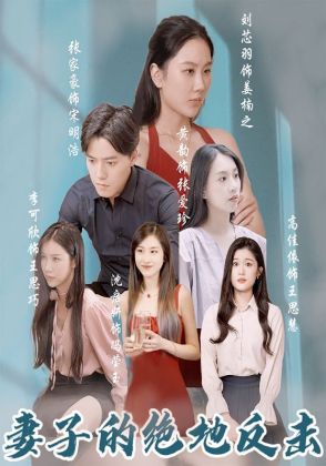 妻子的绝地反击
