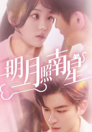 明月照南星