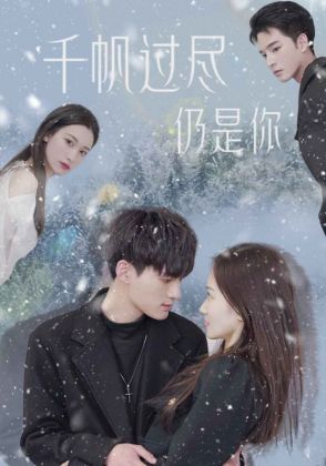 千帆过尽仍是你