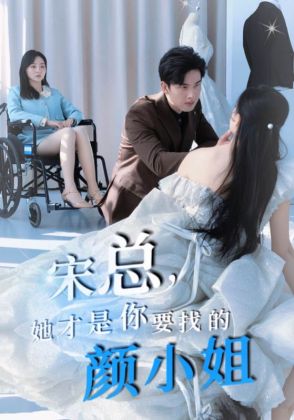 宋总，她才是你要找的颜小姐