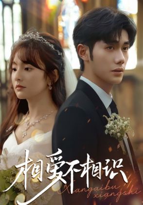 相爱不相识