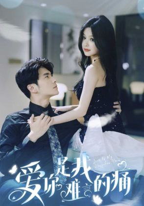 爱你是我难言的痛