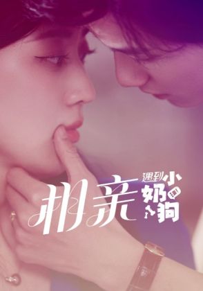 相亲遇到小奶狗