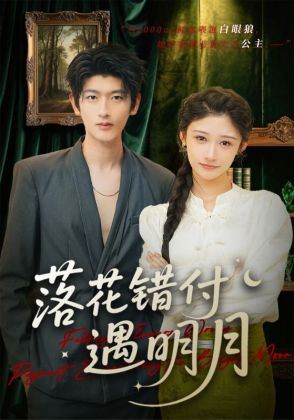 落花错付遇明月