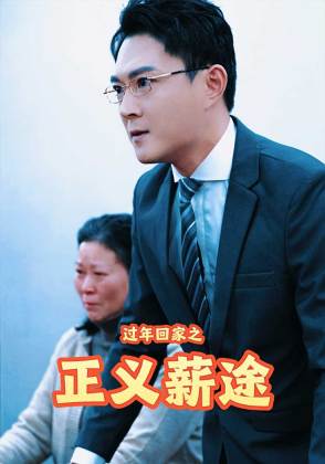 过年回家之正义薪途