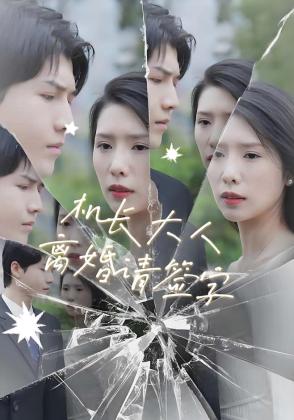 机长大人，离婚请签字