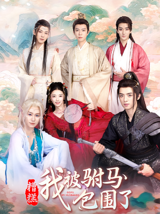 糟糕，我被驸马包围了