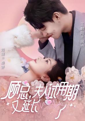 顾总，夫人试用期又延长了