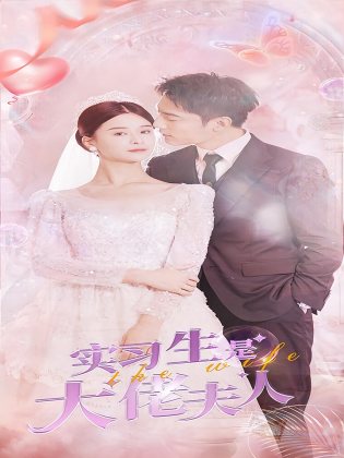 实习生是大佬夫人