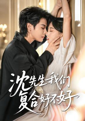 沈先生我们复合好不好