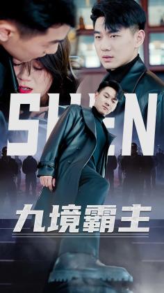 九境霸主