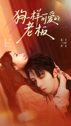 狗一样可爱的老板