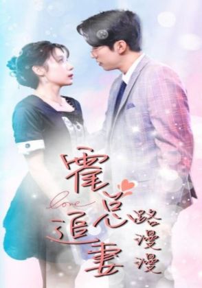 霍总追妻路漫漫