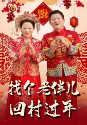 找个老伴儿回村过年