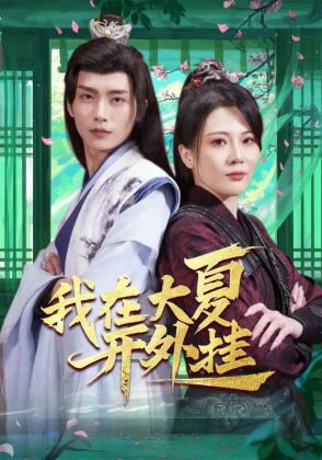 我在大夏开外挂