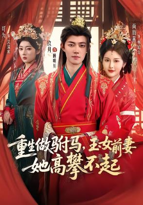 重生做驸马，玉女前妻她高攀不起