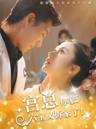 宫总，你家六宝又拆家了