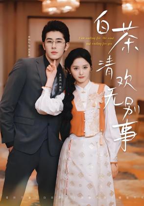 白茶清欢无别事