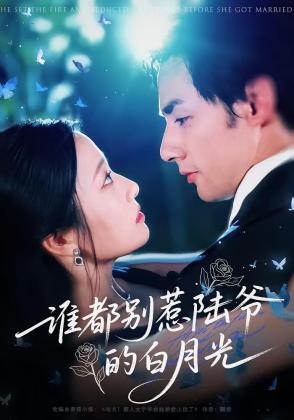 谁都别惹陆爷的白月光