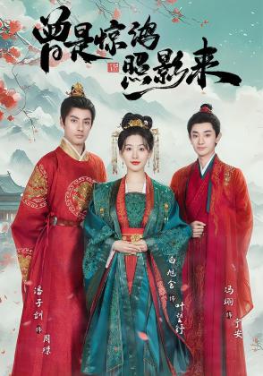 曾是惊鸿照影来