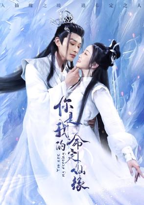 你是我的命定仙缘