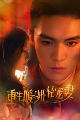 重生暖婚轻宠妻