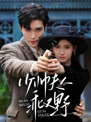 少帅夫人乖又野