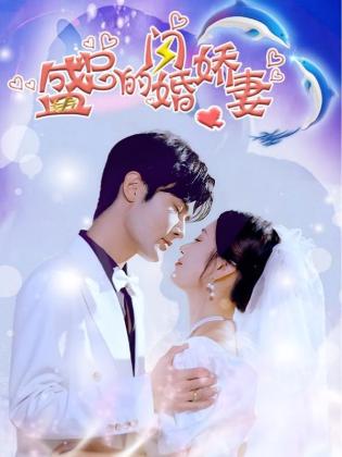 盛总的闪婚娇妻