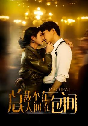 总裁不在人间在包间