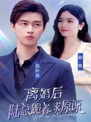 离婚后，陆总跪着求原谅