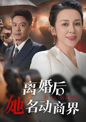 离婚后她名动商界