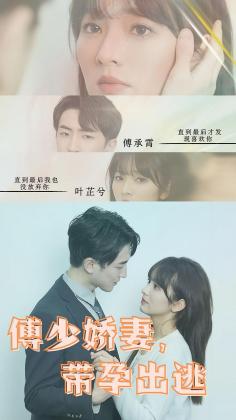 傅少娇妻，带孕出逃