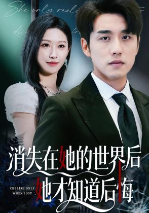 消失在她的世界后她才知道后悔