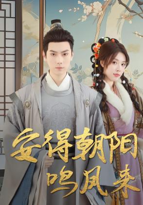 安得朝阳鸣凤来