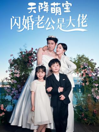 天降萌宝闪婚老公是大佬