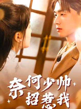 奈何少帅招惹我