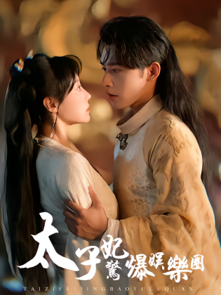 太子妃惊爆娱乐圈