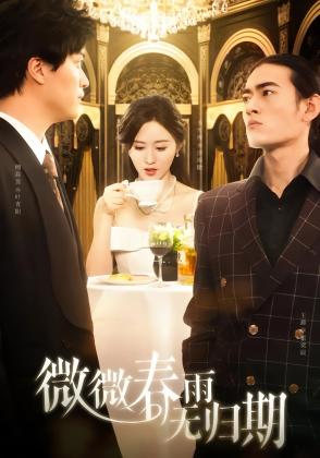 微微春雨无归期
