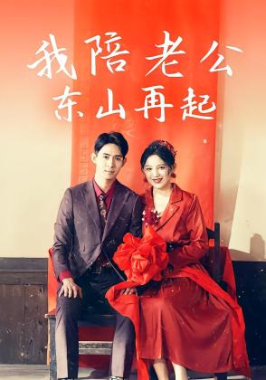我陪老公东山再起