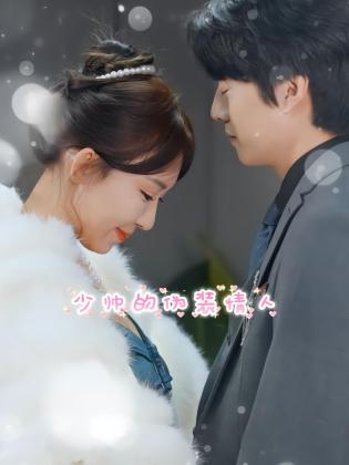 少帅的伪装情人