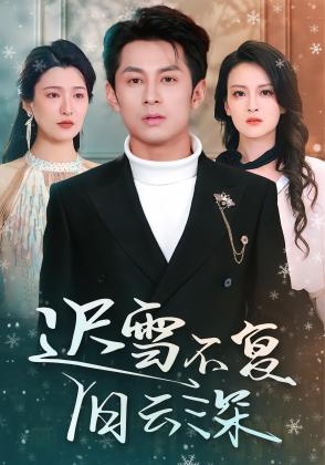 迟雪不复旧云深