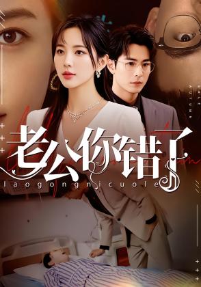 老公你错了